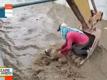 El impactante rescate de un albañil subido a una excavadora de un perro al que se lleva la corriente