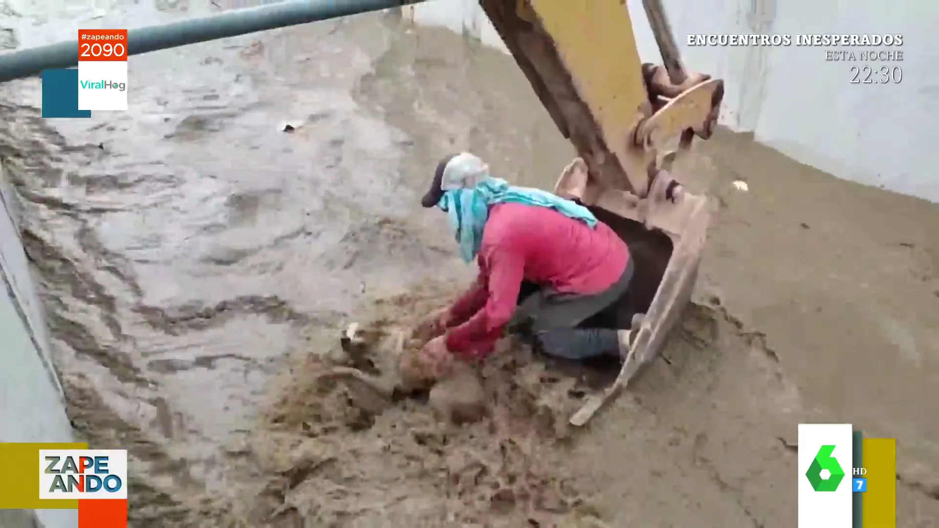 El impactante rescate de un albañil subido a una excavadora de un perro al que se lleva la corriente