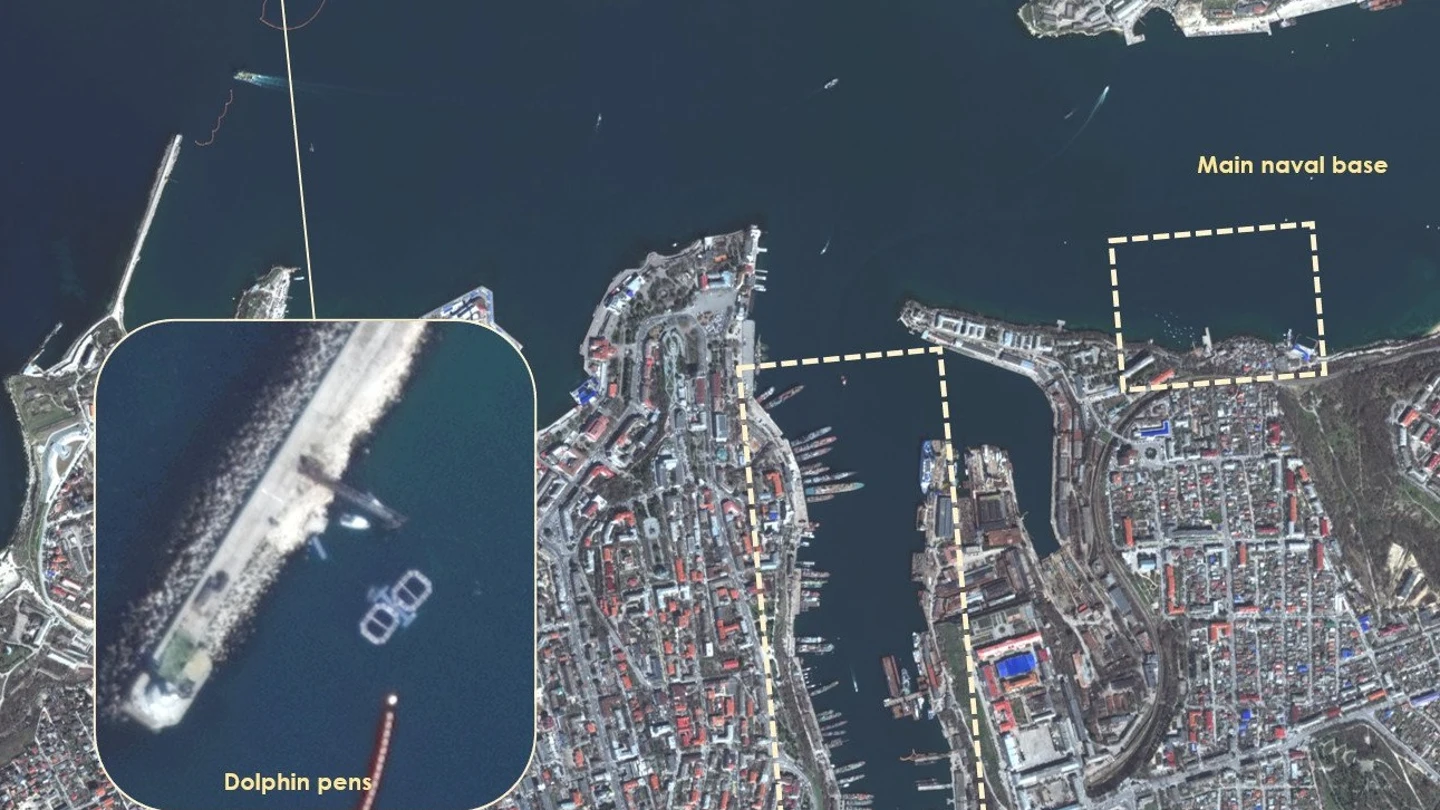 Rusia podría estar usando a delfines entrenados por la Marina para defender la base naval del Mar Negro de ataques ucranianos Rusia podría estar usando a delfines entrenados por la Marina para defender la base naval del Mar Negro de ataques ucranianos