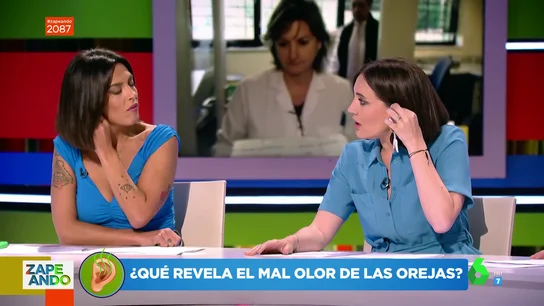 orejas zap orejas zap