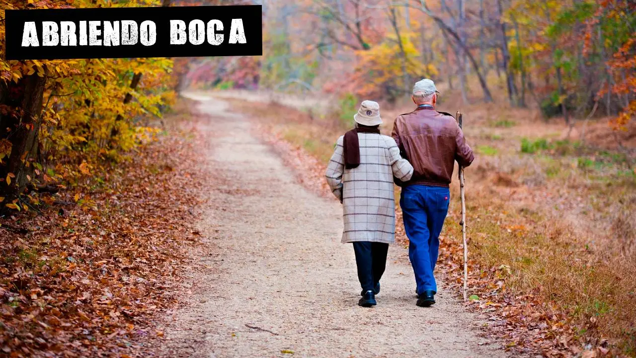 Una pareja pasea por el campo