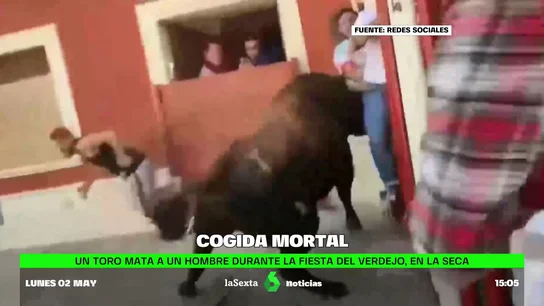 Un toro mata a un hombre durante la fiesta del Verdejo, en La Seca (Valladolid) Cogida mortal