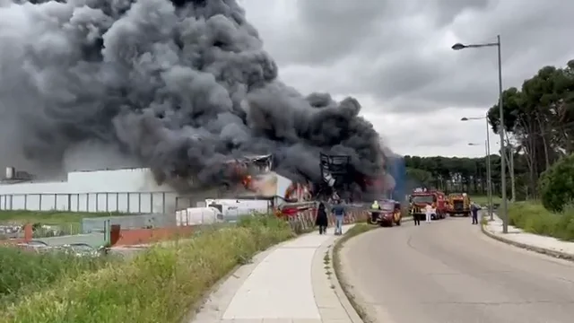 Un incendio arrasa con el matadero de Getafe (Madrid) sin heridos ni intoxicados.