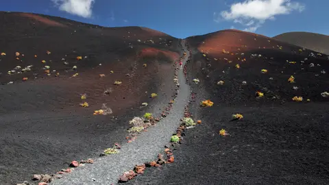 Ruta de los Volcanes Ruta de los Volcanes