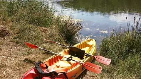 Ornitokayak Ornitokayak