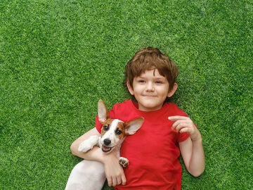 Un niño con un perro