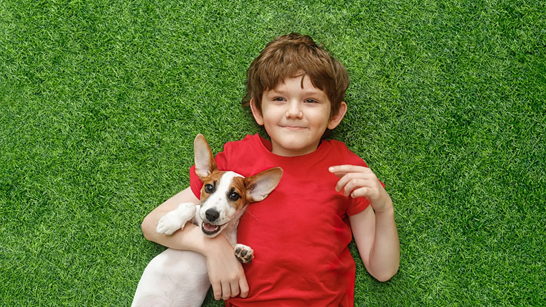 Un niño con un perro