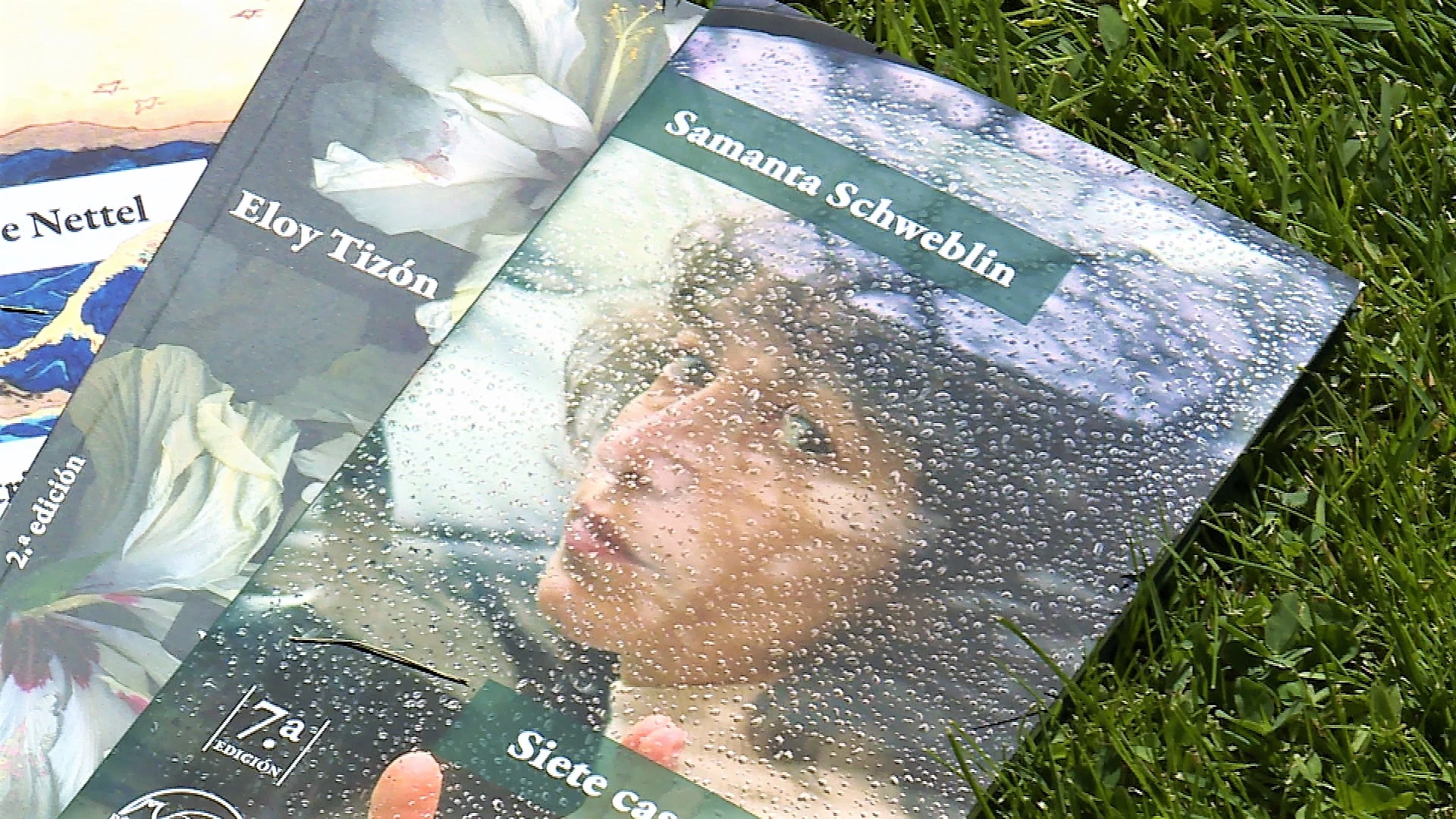 Libros de la editorial Páginas de Espuma