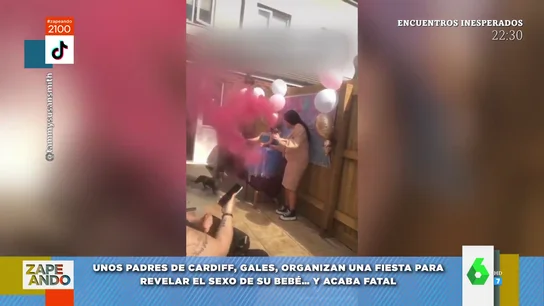bebe bebe