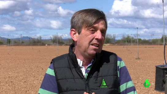 Un agricultor da la clave sobre cómo podría España convertirse en el granero de Europa y evitar la dependencia de Ucrania Un agricultor da la clave sobre cómo podría España convertirse en el granero de Europa y evitar la dependencia de Ucrania