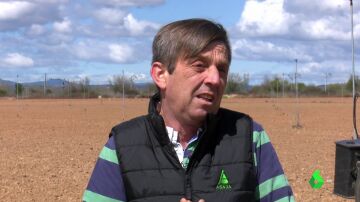 Un agricultor da la clave sobre cómo podría España convertirse en el granero de Europa y evitar la dependencia de Ucrania