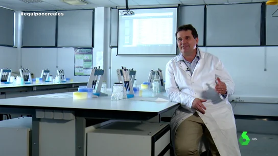 ¿Conllevan algún riesgo para la salud los componentes del maíz importado desde América hasta ahora prohibido por la UE? ¿Conllevan algún riesgo para la salud los componentes del maíz importado desde América hasta ahora prohibido por la UE?