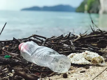 Botella de plástico abandonada en la playa Botella de plástico abandonada en la playa