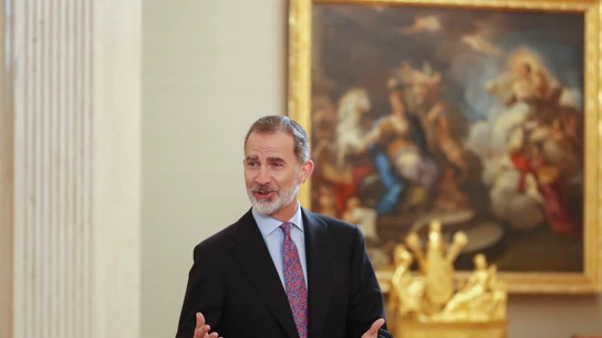 Imagen de archivo del rey Felipe VI Imagen de archivo del rey Felipe VI