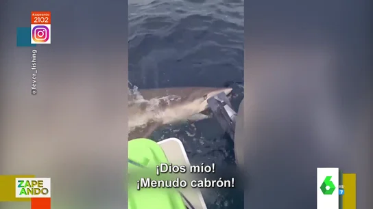 tiburon tiburon