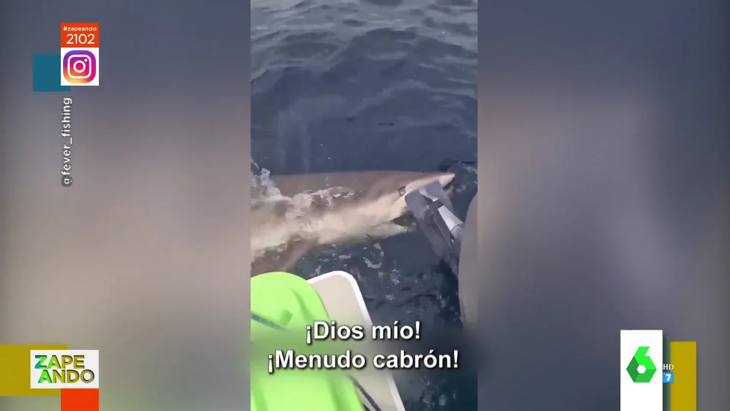 tiburon tiburon