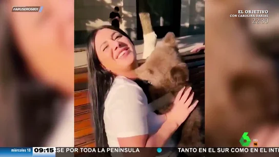 Ataque osito Ataque osito