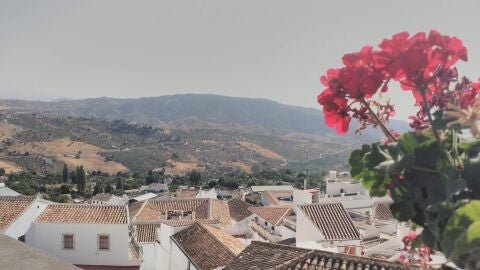 Casabonarela