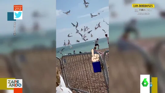 pajaros zap pajaros zap