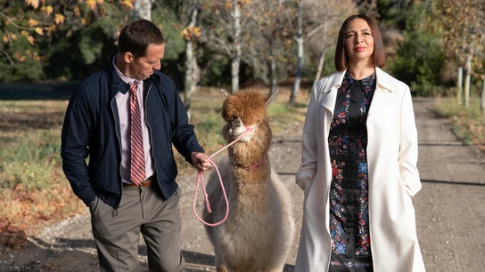 Nat Faxon y Maya Rudolph, en una escena de 'Loot' Nat Faxon y Maya Rudolph, en una escena de 'Loot'