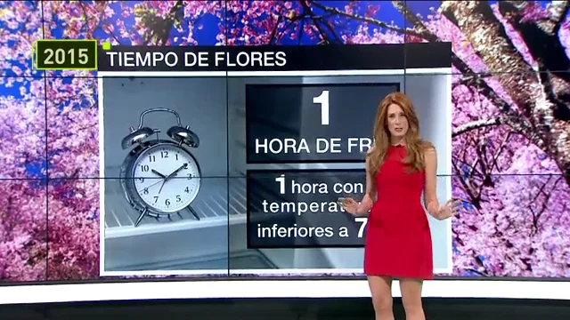 Así ha cambiado Isabel Zubiaurre, presentadora y jefa de laSexta Meteo 