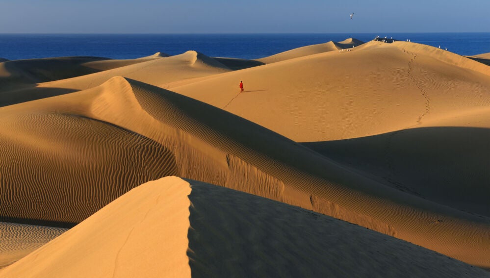 Dunas de Maspalomas, en Gran Canaria