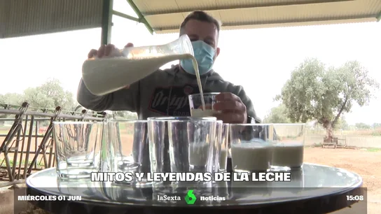 Mitos y leyendas de la leche: ¿qué es cierto y qué no sobre este polémico alimento? Blanco y en botella