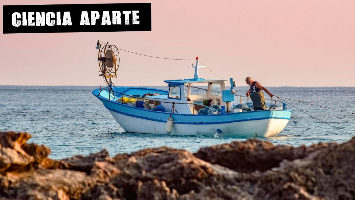 Comer pescado por salud y sostenibilidad
