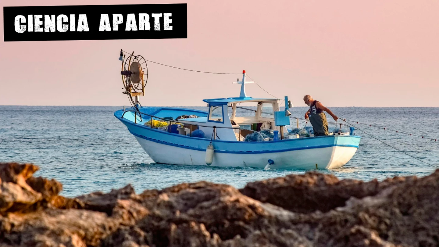 Comer pescado por salud y sostenibilidad Comer pescado por salud y sostenibilidad