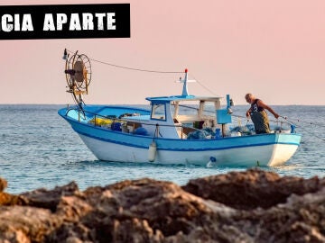 Comer pescado por salud y sostenibilidad