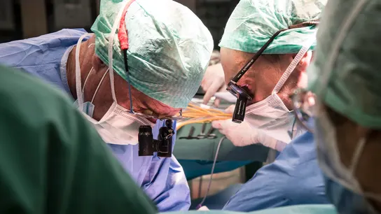 Consiguen trasplantar con éxito un hígado humano después de repararlo durante tres días fuera del cuerpo Desarrollo revolucionario