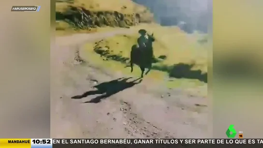 Niño llama Niño llama