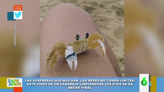 cangrejo cangrejo
