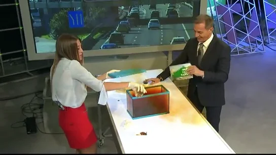 Así es el aspecto del dióxido de nitrógeno, uno de los principales contaminantes que emiten los coches Así es el aspecto del dióxido de nitrógeno, uno de los principales contaminantes que emiten los coches