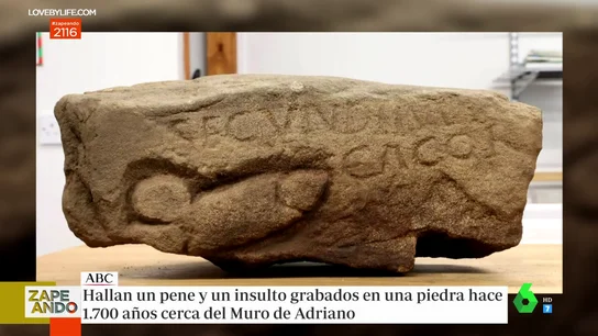 pene pene