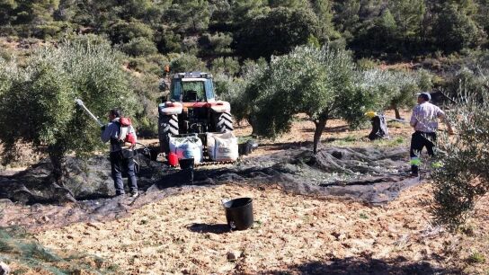 La econom&iacute;a divide a las dos Espa&ntilde;as: &iquest;por qu&eacute; est&aacute;n en Andaluc&iacute;a los pueblos m&aacute;s pobres? 