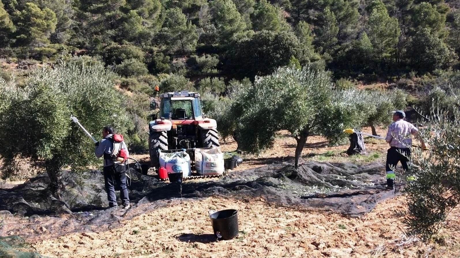 La economía divide a las dos Españas: ¿por qué están en Andalucía los pueblos más pobres? 