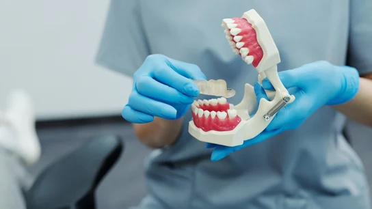 Ampliar la cobertura pública del dentista: estos son los tratamientos de salud bucodental que incluye el plan de Sanidad Ampliar la cobertura pública del dentista: estos son los tratamientos de salud bucodental que incluye el plan de Sanidad