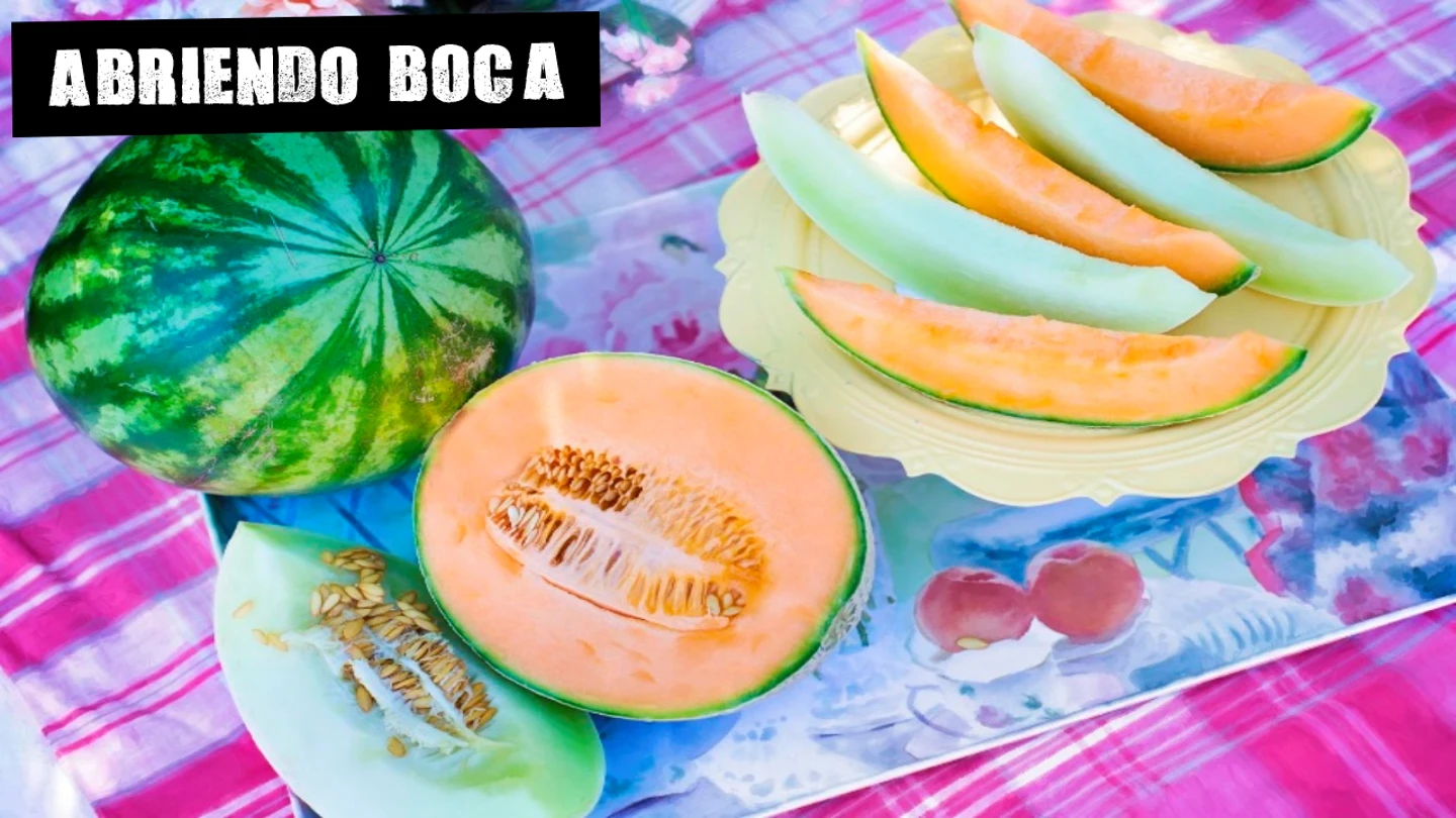 Imagen de archivo de un melón Imagen de archivo de un melón
