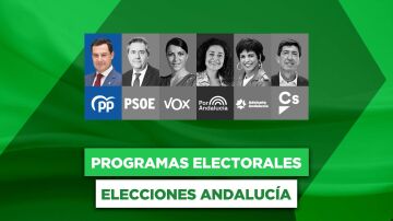 Programa electoral del PP y Juanma Moreno en las elecciones andaluzas