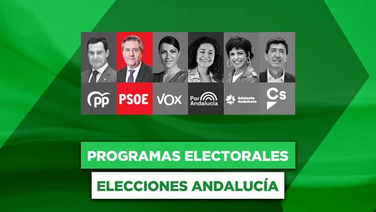 Programa del PSOE y Juan Espadas para las elecciones andaluzas Programa del PSOE y Juan Espadas para las elecciones andaluzas
