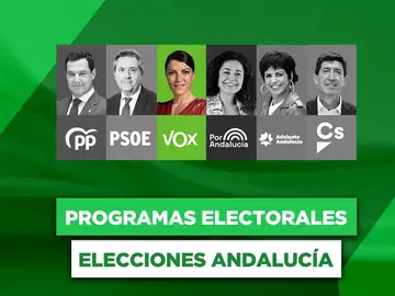 Programa de Vox y Macarena Olona para las elecciones andaluzas