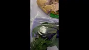 Una pasajera de un avión se encuentra bichos vivos en la ensalada que le sirvieron