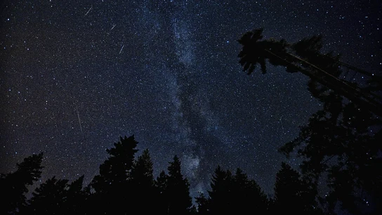 Cómo se llaman las lluvias de estrellas de julio y agosto Cómo se llaman las lluvias de estrellas de julio y agosto