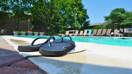 Cómo evitar los hongos en las piscinas municipales Cómo evitar los hongos en las piscinas municipales