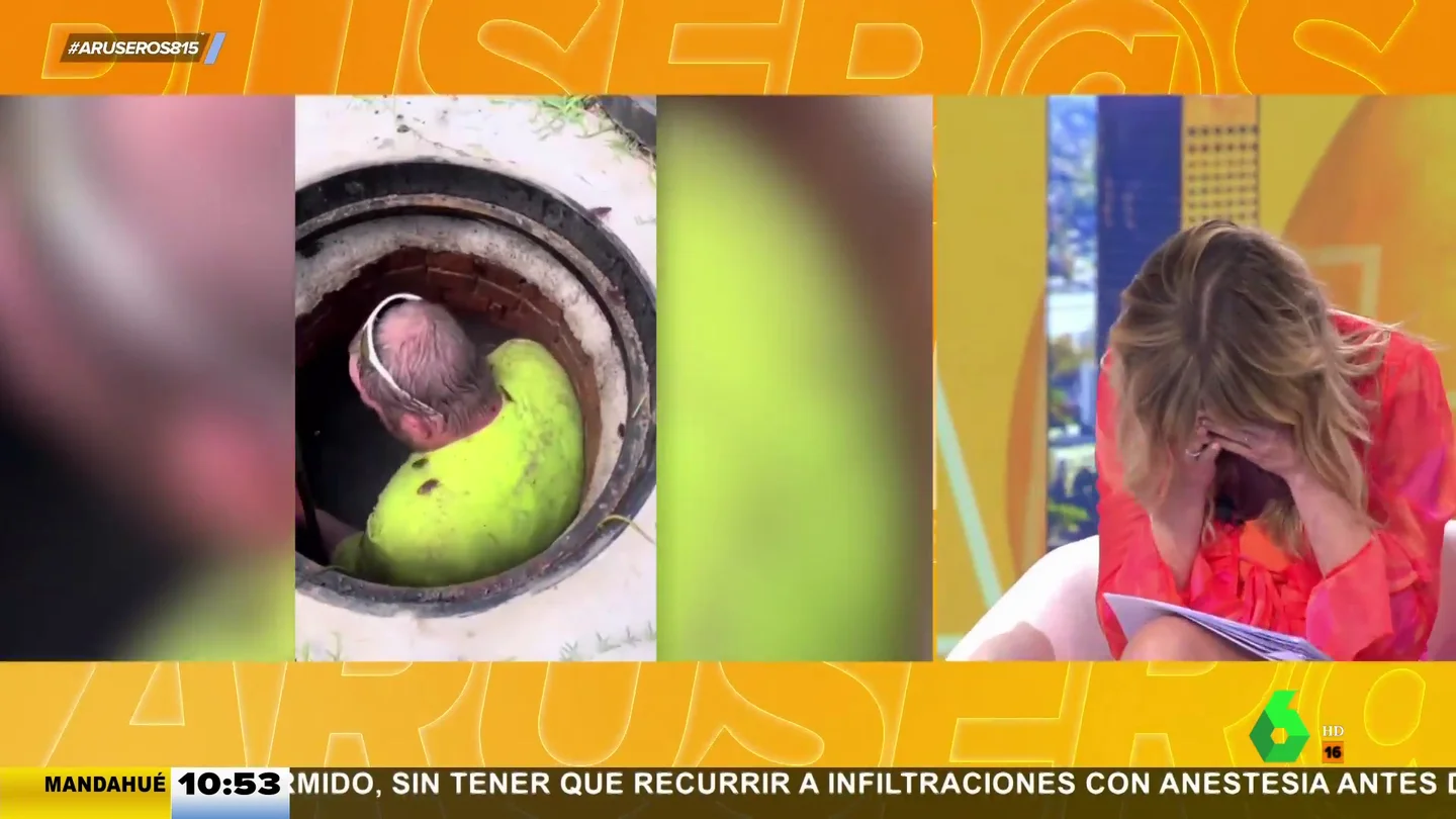 María Moya cucarachas María Moya cucarachas