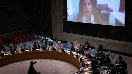 Consejo de Seguridad de la ONU Consejo de Seguridad de la ONU