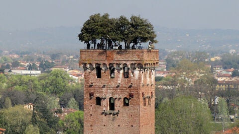 Torre Guinigi Lucca