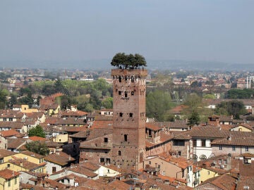 Descubre la Torre Guinigi, una de las joyas arquitectónicas de Lucca 