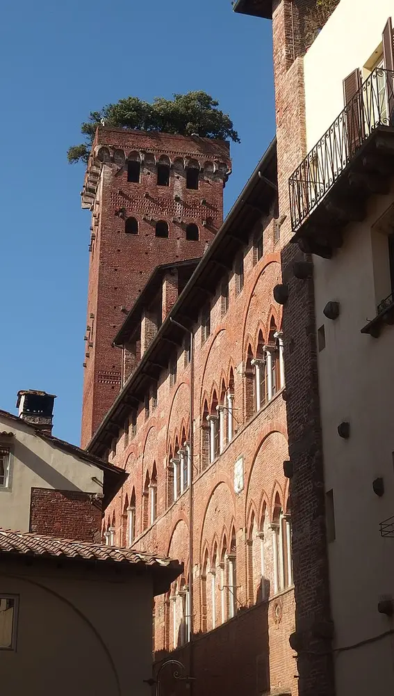 Torre Guinigi Lucca. Italia